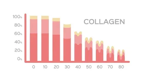 Collagen decline by age